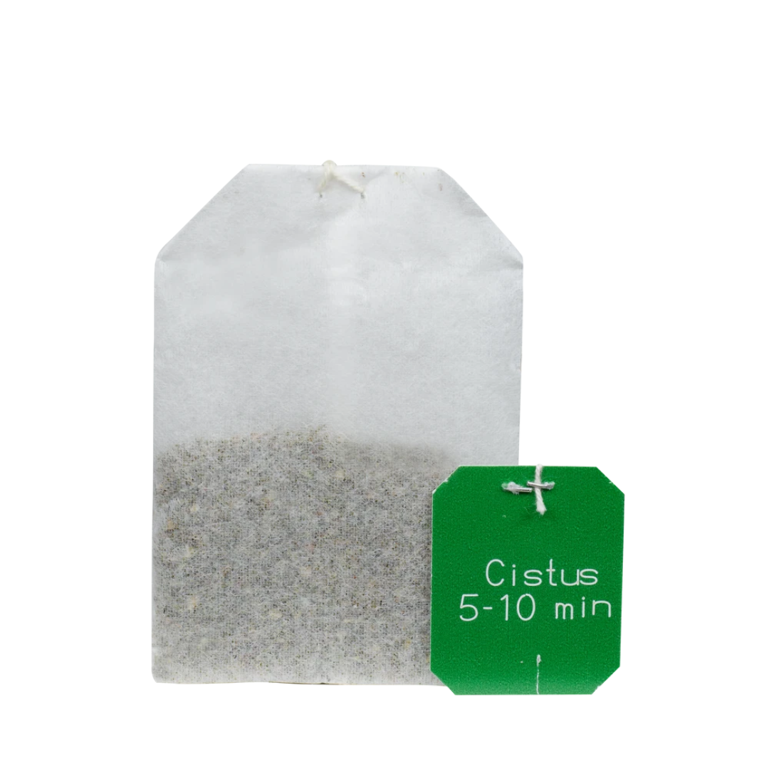 Salus Cistus Tee Bio – einzelner Filterbeutel mit polyphenolreichem Cistus incanus, ideal für die kalte Jahreszeit