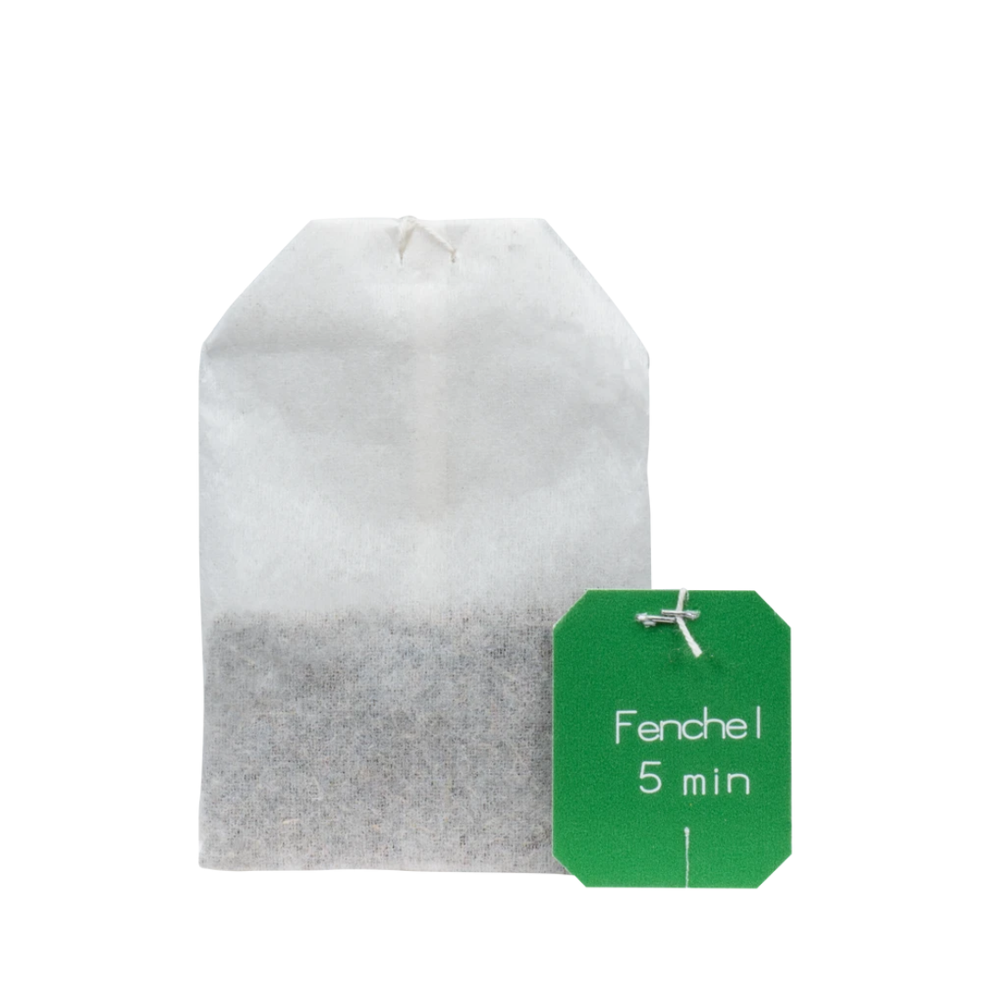 Salus Fencheltee Filterbeutel – einzelner Bio-Kräutertee Beutel mit Ziehzeit
