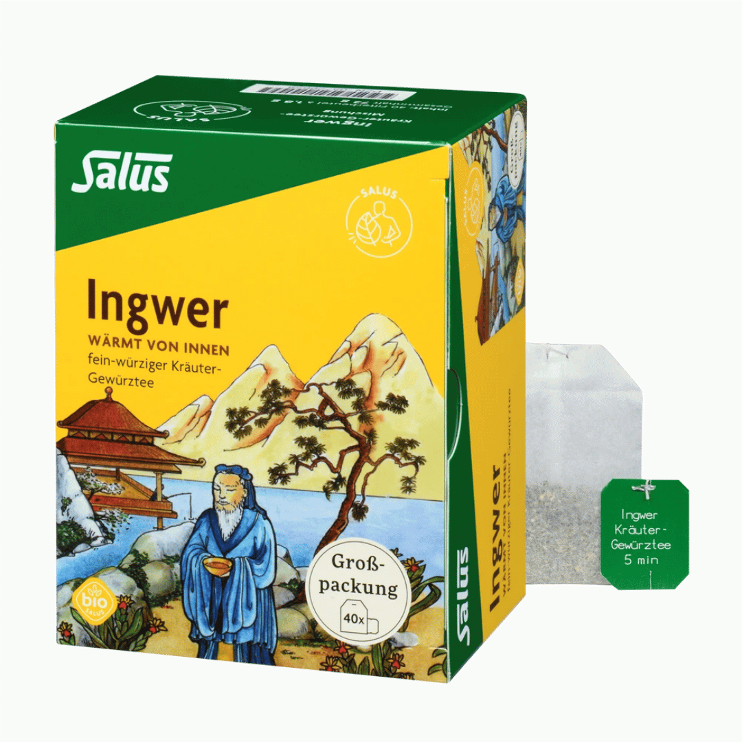 Salus Ingwer Tee – 40 Filterbeutel Bio-Kräuter-Gewürztee Großpackung, wärmender Ingwertee für Genießer