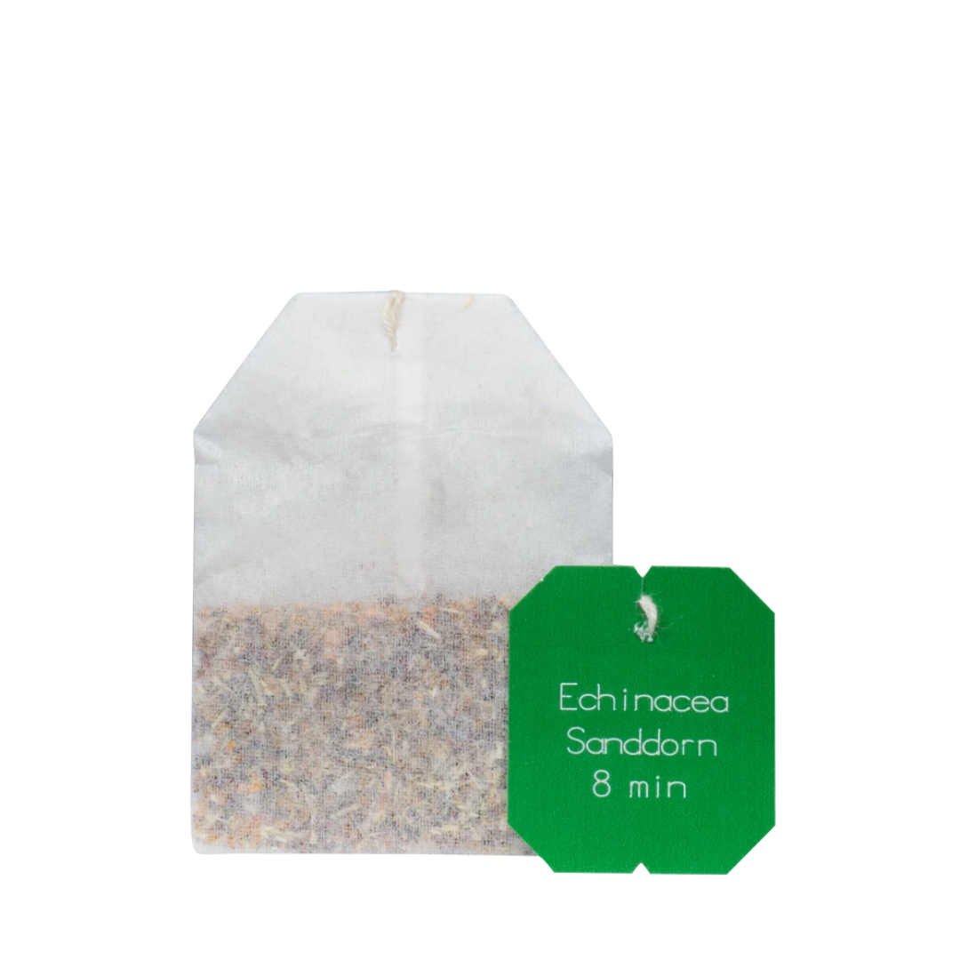 Salus Echinacea Sanddorn Bio – einzelner Teebeutel mit 8 Minuten Ziehzeit