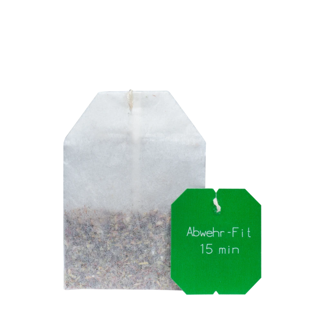 Salus Schatz der Inka Abwehr-Fit Bio – einzelner Teebeutel Kräutertee-Spezialität mit Vitamin C