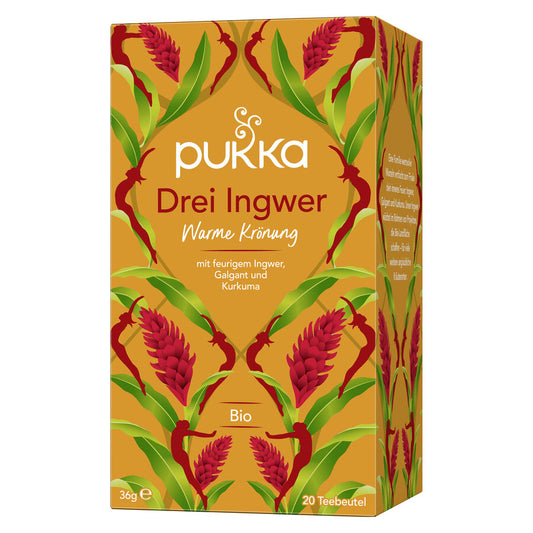 Pukka Bio-Kräutertee Drei Ingwer, 20 Filterbeutel