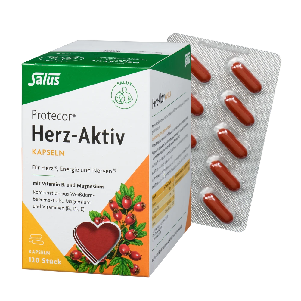 Protecor Herz-Aktiv Kapseln 120 Stück von Salus – Nahrungsergänzung mit Weißdornbeerenextrakt, Magnesium und Vitaminen B1, D3, E für Herz, Energie und Nerven