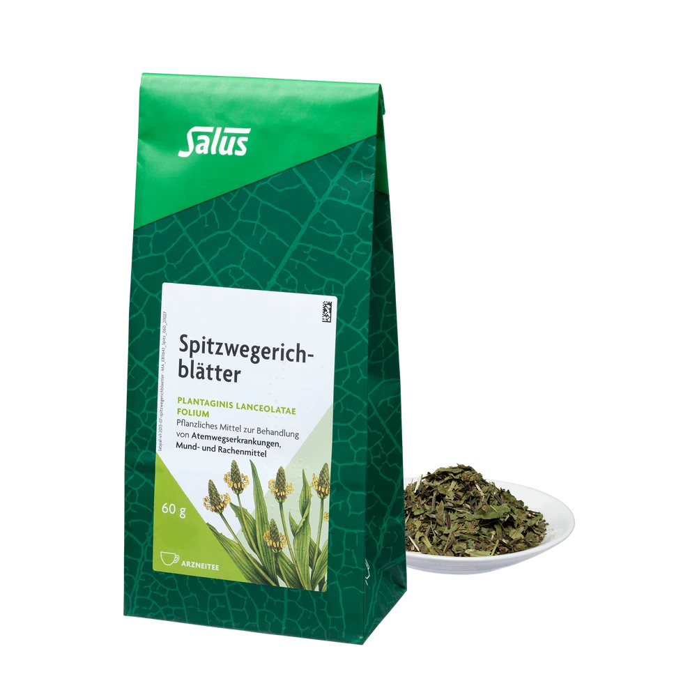 Salus® Spitzwegerichblätter Arzneitee bio 60 g im grünen Blockbodenbeutel mit losen Blättern im Schälchen