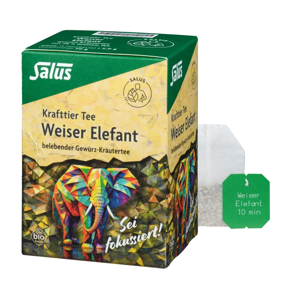 Salus Krafttier Tee Weiser Elefant Bio – Packung und einzelner Teebeutel, belebender Bio-Gewürz-Kräutertee mit Tulsi und grünem Tee