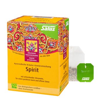 Salus Spirit® Kräutertee-Spezialität bio 15 FB, 27g