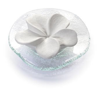 Primavera Duftstein Frangipani mit Glasteller gewellt, 1St