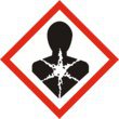 Symbol GHS08: Gesundheitsgefahr