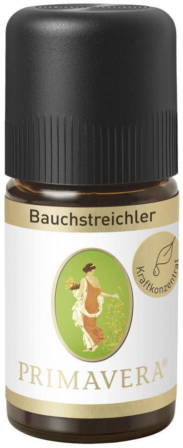 Primavera Bauchstreichler Duftmischung, 5 ml Fläschchen mit schwarzem Verschluss, weißes Etikett mit beigem Rand und Primavera-Logo, Kraftkonzentrat.