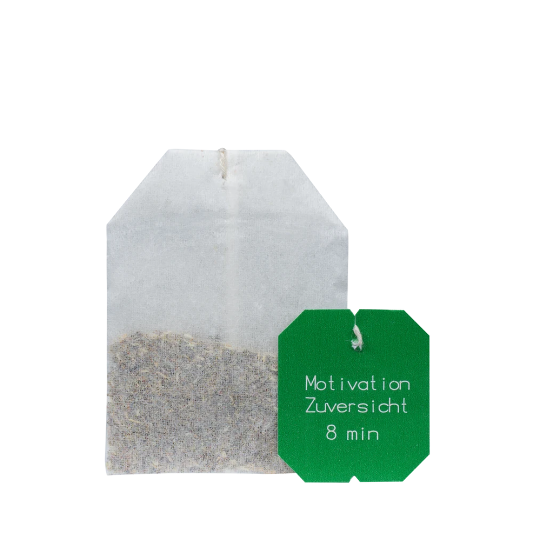 Salus Bachblüten Tee Motivation & Zuversicht – Bio-Teebeutel mit Bachblüten-Essenzen und Kräutermischung