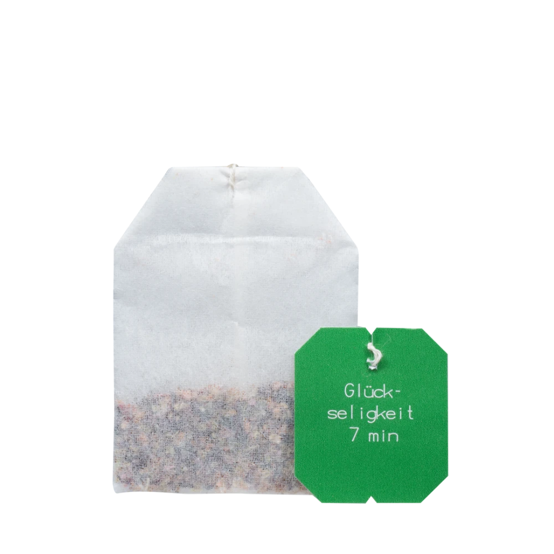 Salus Bauerngarten Tee Glückseligkeit – einzelner Bio-Früchtetee-Filterbeutel