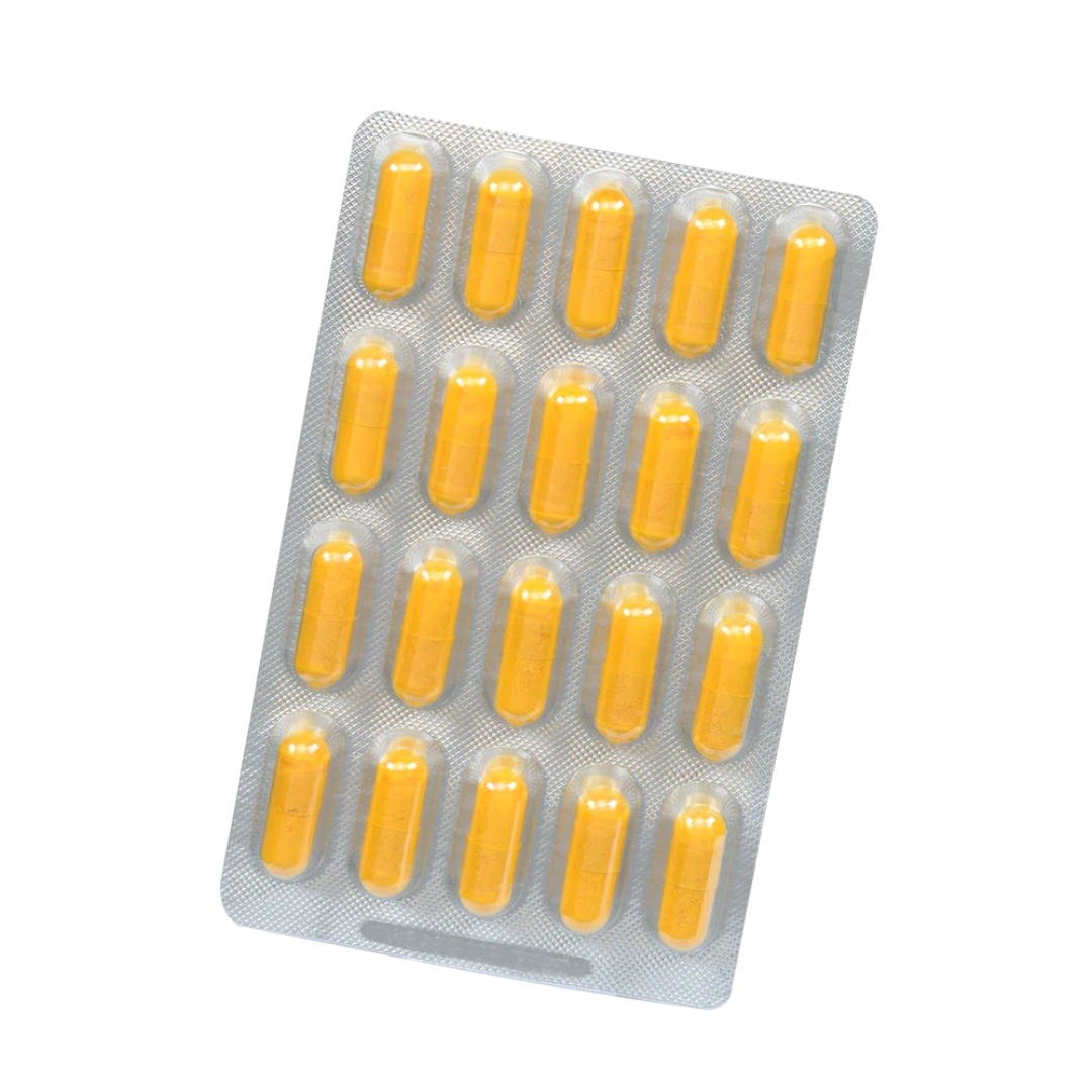 Salus Curcumin 202 Bioaktiv Kapseln – Blister mit 60 veganen Curcuma-Kapseln