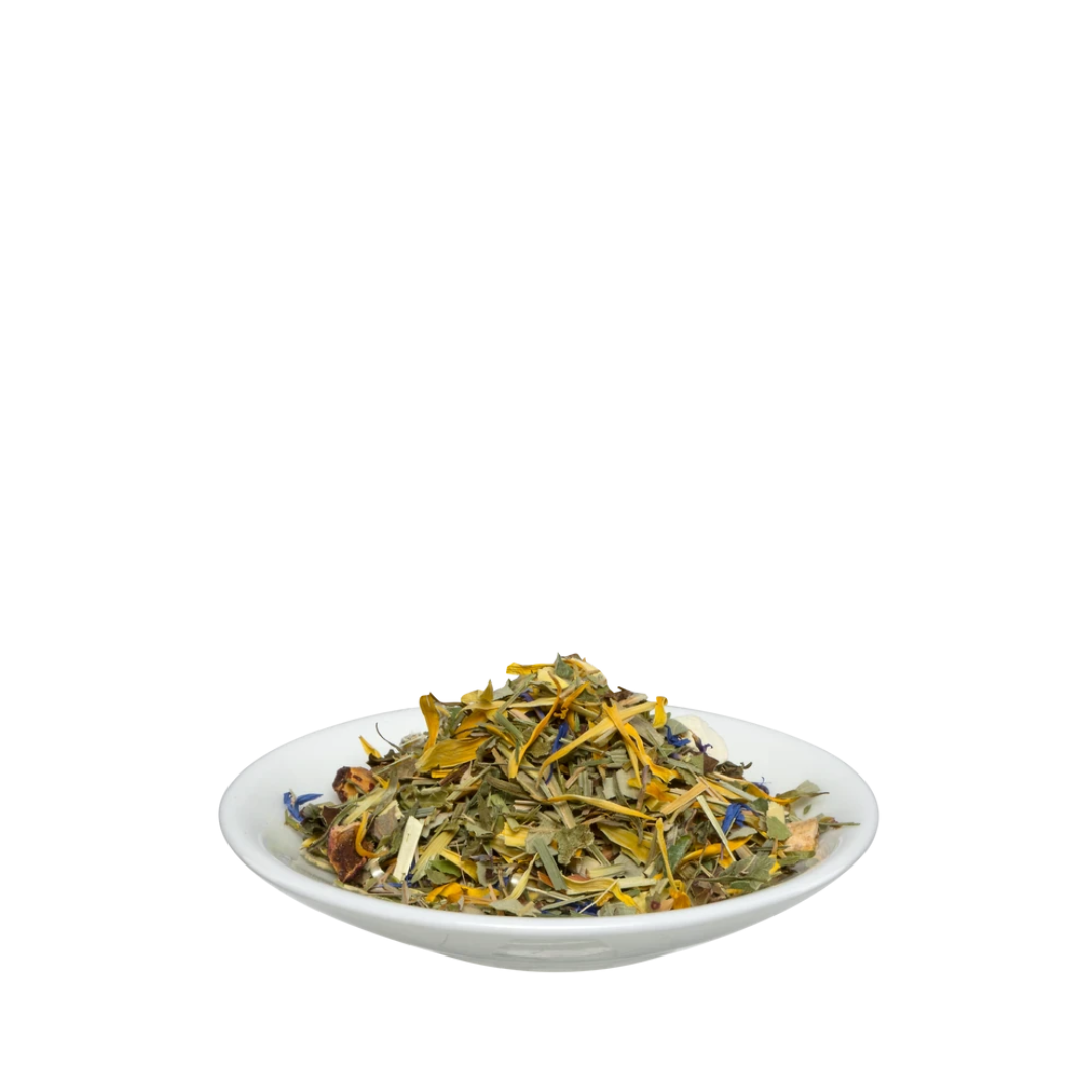 Salus Fit & Vital Kräutertee – lose Bio-Kräuterteemischung 75 g im Schälchen