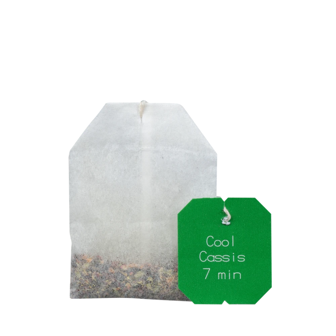 Salus Gourmet Tee Cool Cassis – einzelner Bio Kräuter-Früchte-Tee im Teebeutel mit schwarzer Johannisbeere und Minze