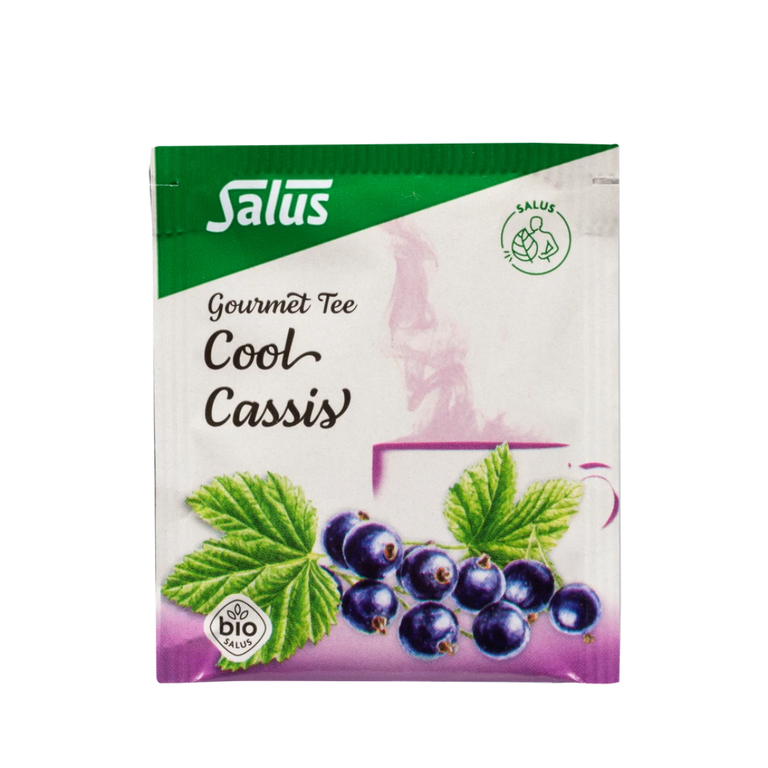 Salus Gourmet Tee Cool Cassis – Bio Kräuter-Früchte-Tee mit schwarzer Johannisbeere und Minze im Umbeutel