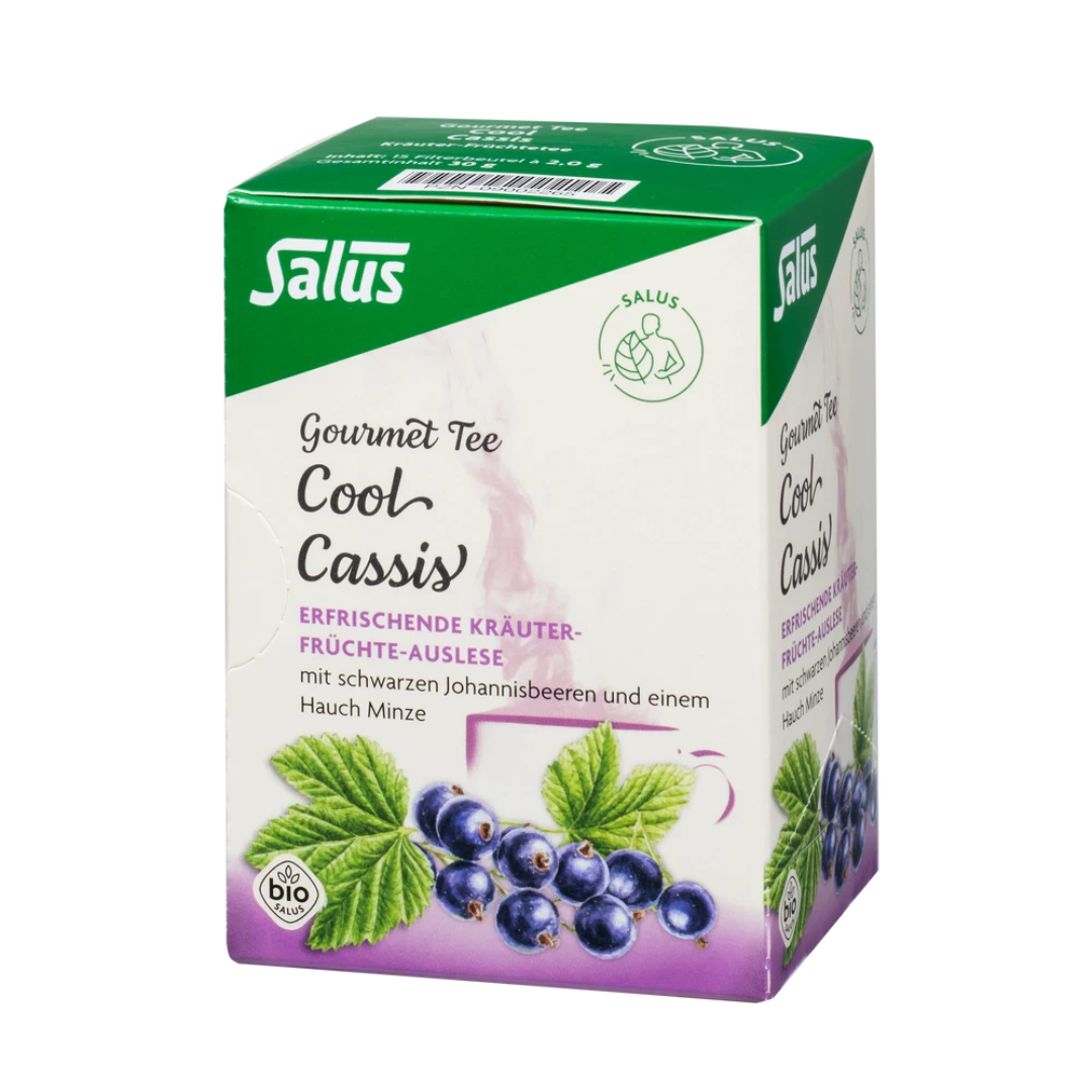 Salus Gourmet Tee Cool Cassis – Bio Kräuter-Früchte-Tee mit schwarzer Johannisbeere und Minze in der Faltschachtel