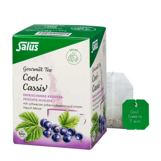 Salus Gourmet Tee Cool Cassis – Bio Kräuter-Früchte-Tee mit schwarzer Johannisbeere und Minze, Verpackung mit Teebeutel