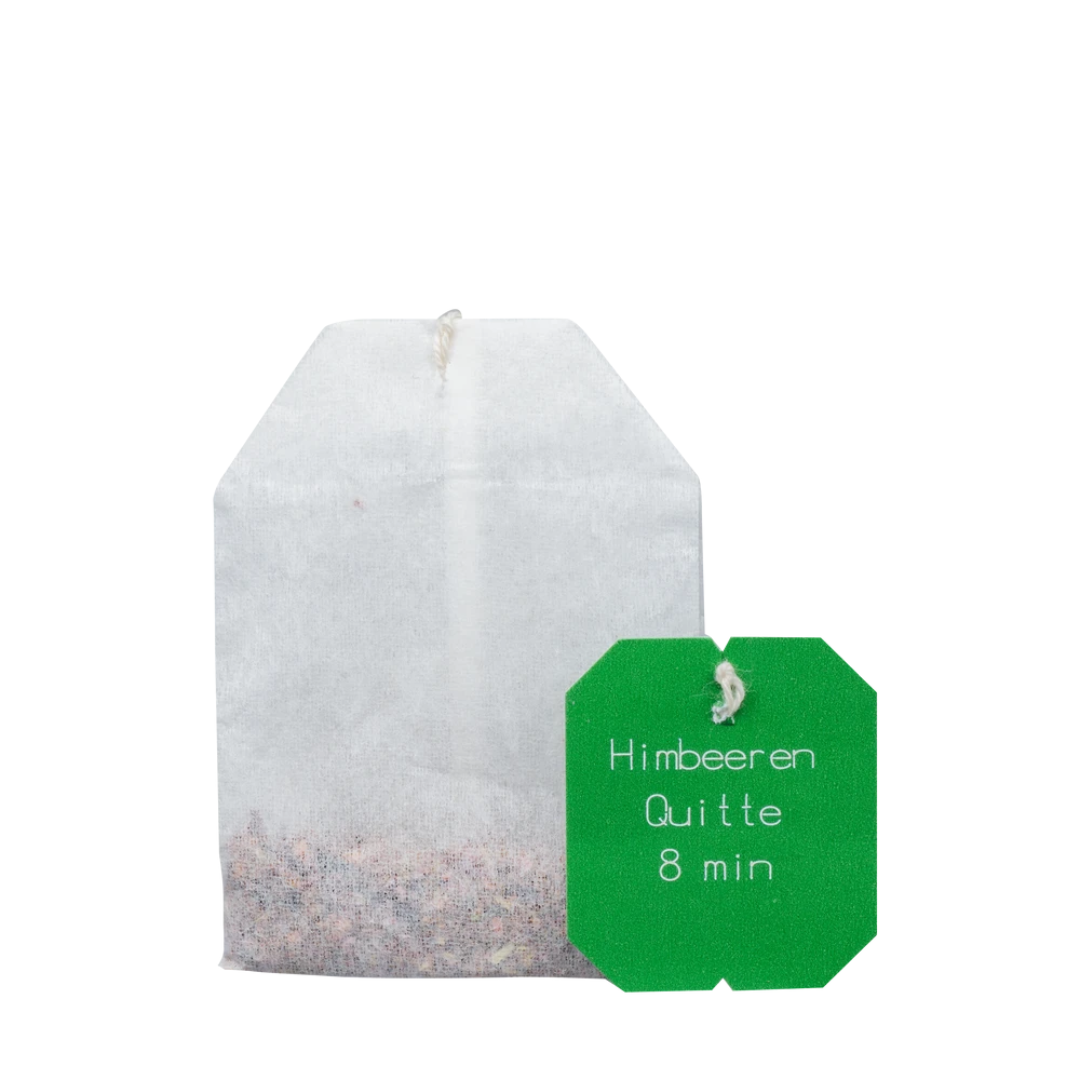 Salus Gourmet Tee Himbeere Quitte – einzelner Bio Früchtetee im Teebeutel mit Himbeeren und Quittenstücken