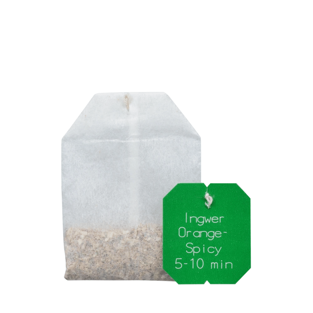 Salus Gourmet Tee Ingwer Orange-Spicy – einzelner Bio Gewürz-Kräutertee im Teebeutel mit Ingwer und Orangenstücken