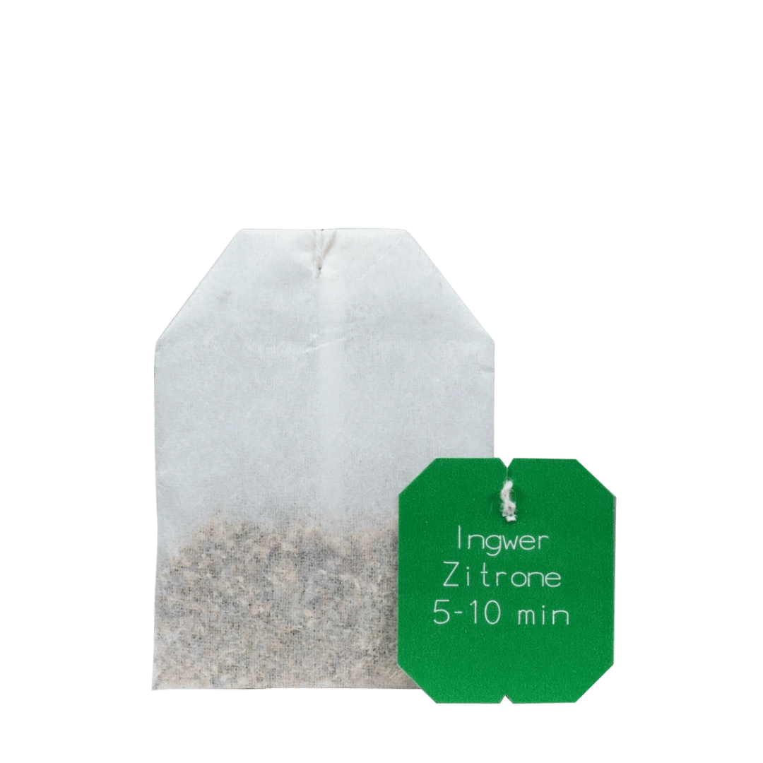 Salus Gourmet Tee Ingwer Zitrone – einzelner Bio Kräuter-Früchtetee im Teebeutel mit Ingwer und Zitronenstücken