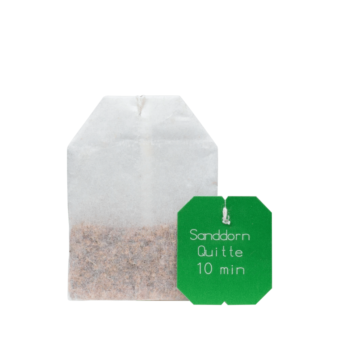Salus Gourmet Tee Sanddorn Quitte – einzelner Bio Aquitta Früchtetee im Teebeutel mit Sanddorn und Quitte
