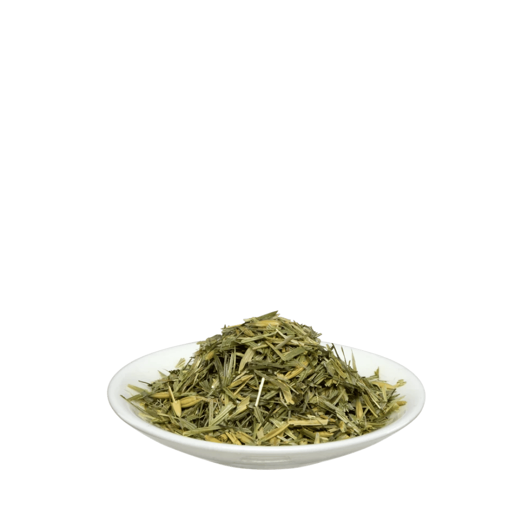 Salus Grüner Hafer Tee Bio lose – naturbelassener Kräutertee, entspannend und mild