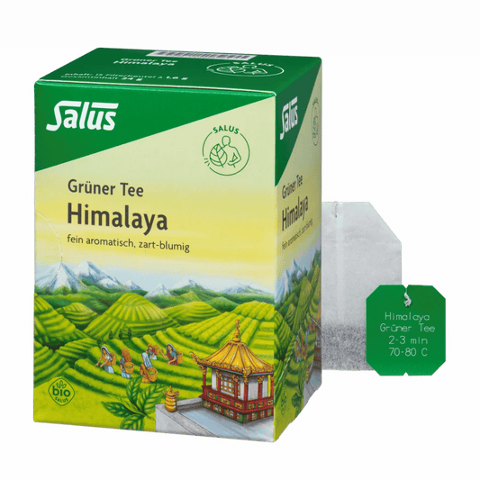Salus Grüner Tee Himalaya Bio – Packung mit 15 Filterbeuteln und einzelnem Teebeutel, fein aromatisch und zart-blumig