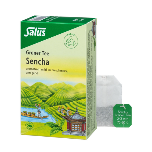 Salus Grüner Tee Sencha Bio – Packung mit 15 Filterbeuteln und einzelnem Teebeutel, aromatisch mild und anregend