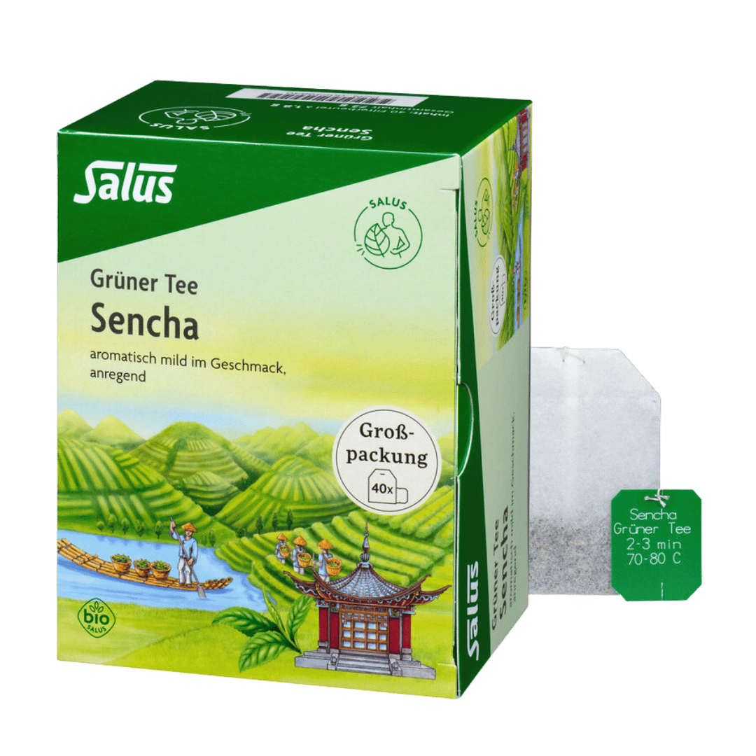 Salus Grüner Tee Sencha Bio 40 Filterbeutel – aromatisch milder Grüntee in Großpackung