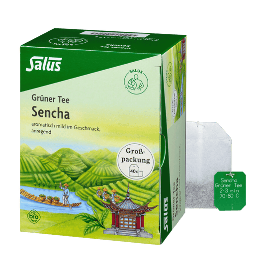 Salus Grüner Tee Sencha Bio 40 Filterbeutel – aromatisch milder Grüntee in Großpackung