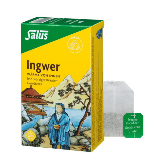Salus Ingwer Tee – 15 Filterbeutel Bio-Kräuter-Gewürztee, fein-würziger Ingwertee wärmend von innen