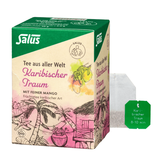 Salus Karibischer Traum Teebox mit Teebeutel, Bio-Mango-Früchtetee, komplette Produktansicht mit Verpackung und Beutel