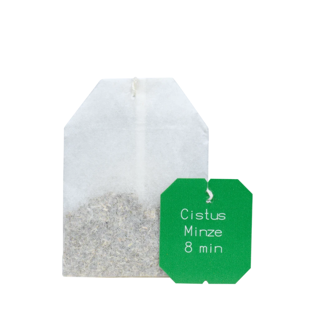 Salus Cistus Minze Tee Bio – einzelner Filterbeutel mit polyphenolreichem Cistus und feiner Minze