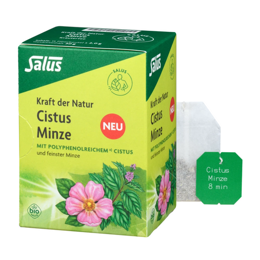 Salus Cistus Minze Tee Bio – Packung mit Filterbeutel, Kräutertee mit polyphenolreichem Cistus und Minze