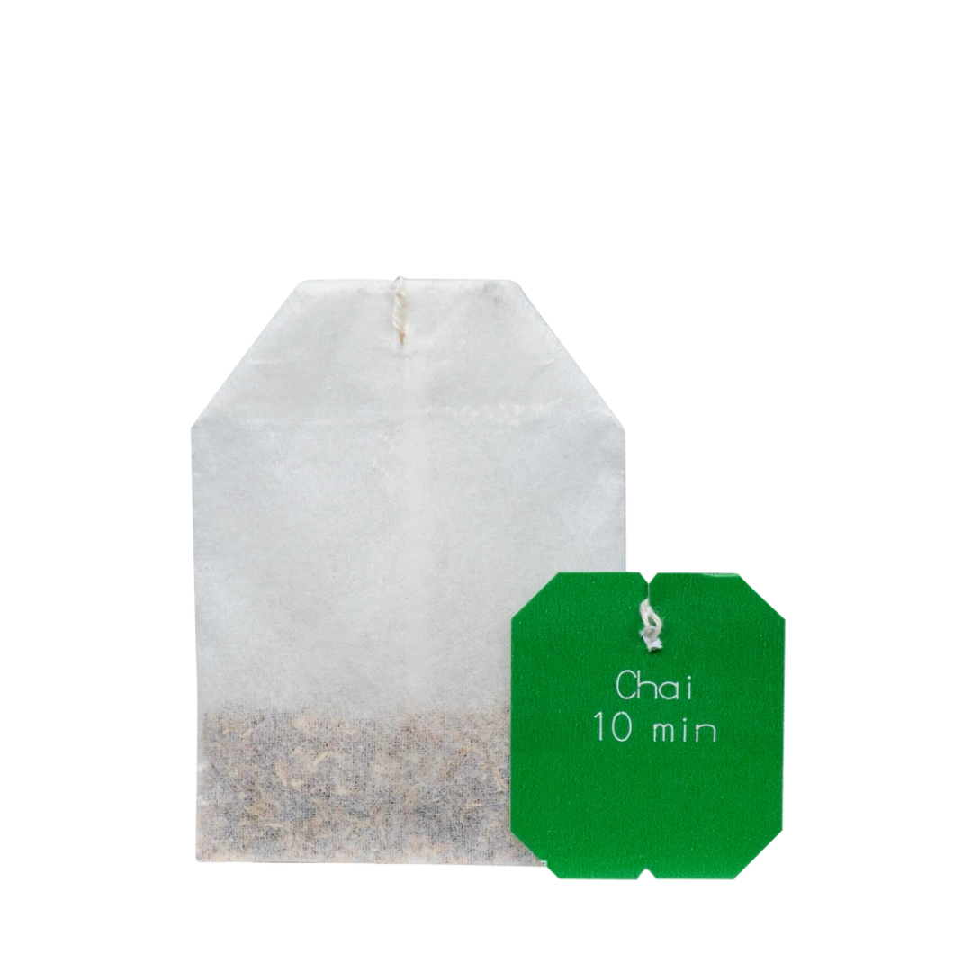 Salus Chai Tee Bio – einzelner Filterbeutel traditioneller indischer Gewürztee mit ayurvedischem Zimt