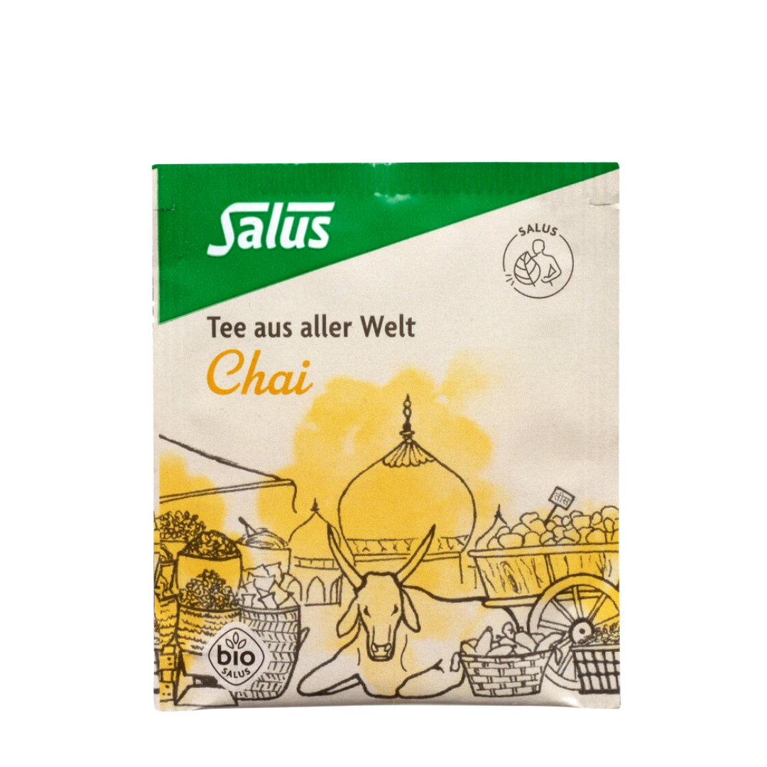 Salus Chai Tee Bio – einzeln verpackter Filterbeutel traditioneller indischer Gewürztee mit Zimt