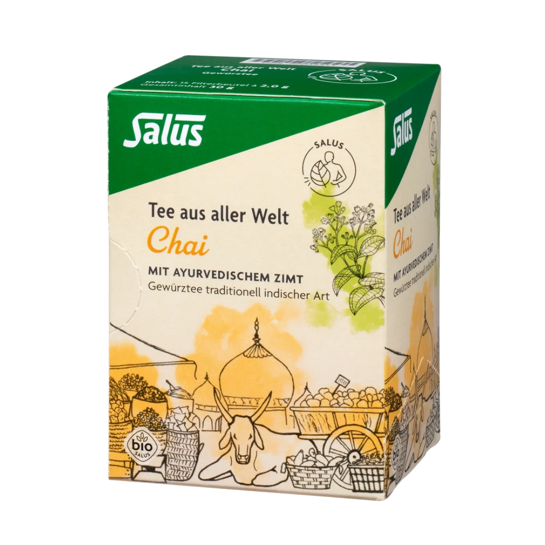 Salus Chai Tee Bio 15 Filterbeutel – traditioneller indischer Gewürztee mit ayurvedischem Zimt