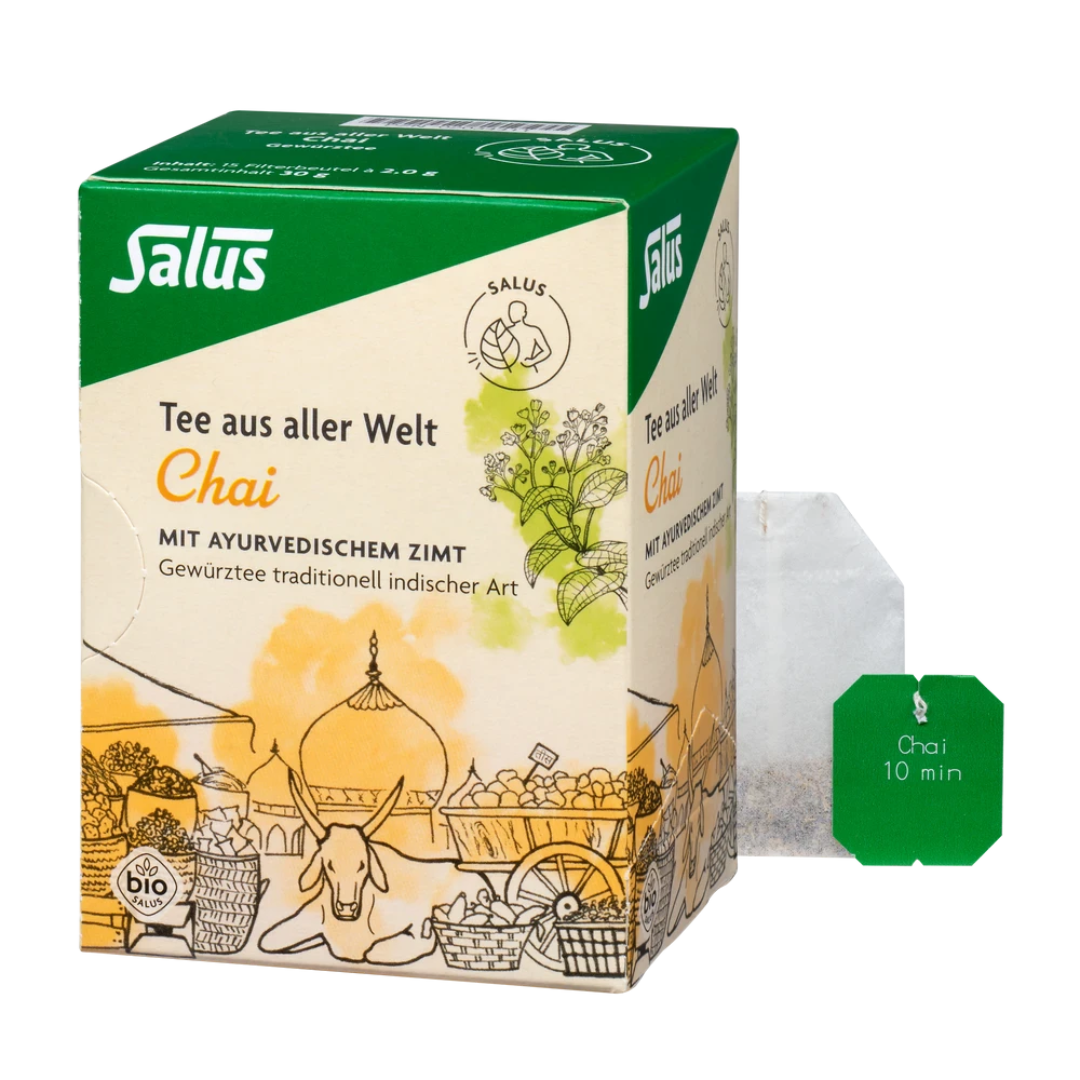 Salus Chai Tee Bio – Packung mit Filterbeutel, aromatischer indischer Gewürztee mit Zimt