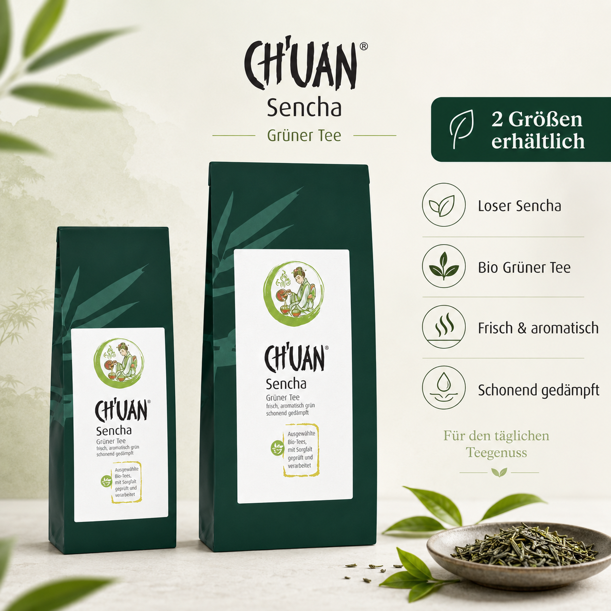 CH'UAN Sencha Bio Grüntee – loser Sencha, frisch und aromatisch sowie schonend gedämpft