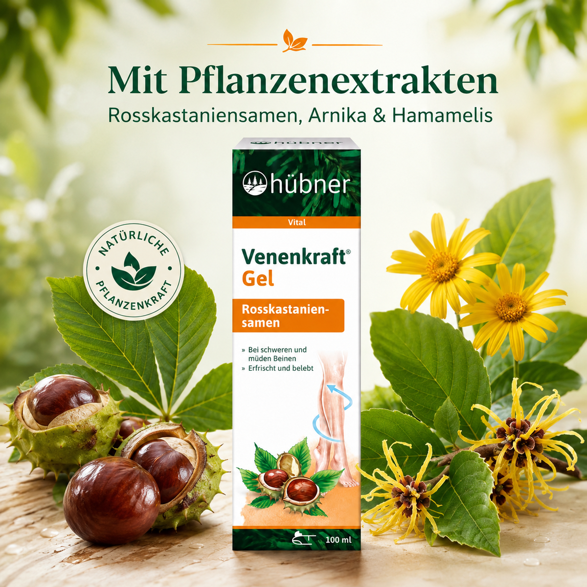 Hübner Venenkraft Gel mit Rosskastaniensamen, Arnika und Hamamelis Pflanzenextrakten
