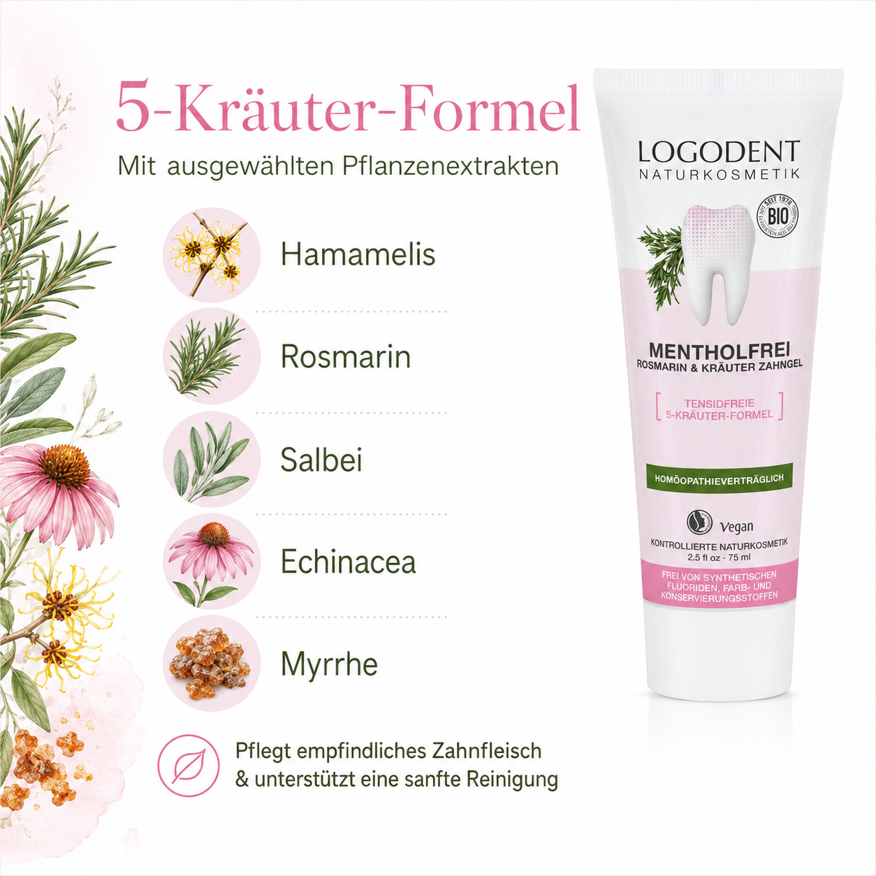 LOGODENT Zahngel mit 5-Kräuter-Formel aus Hamamelis, Rosmarin, Salbei, Echinacea und Myrrhe