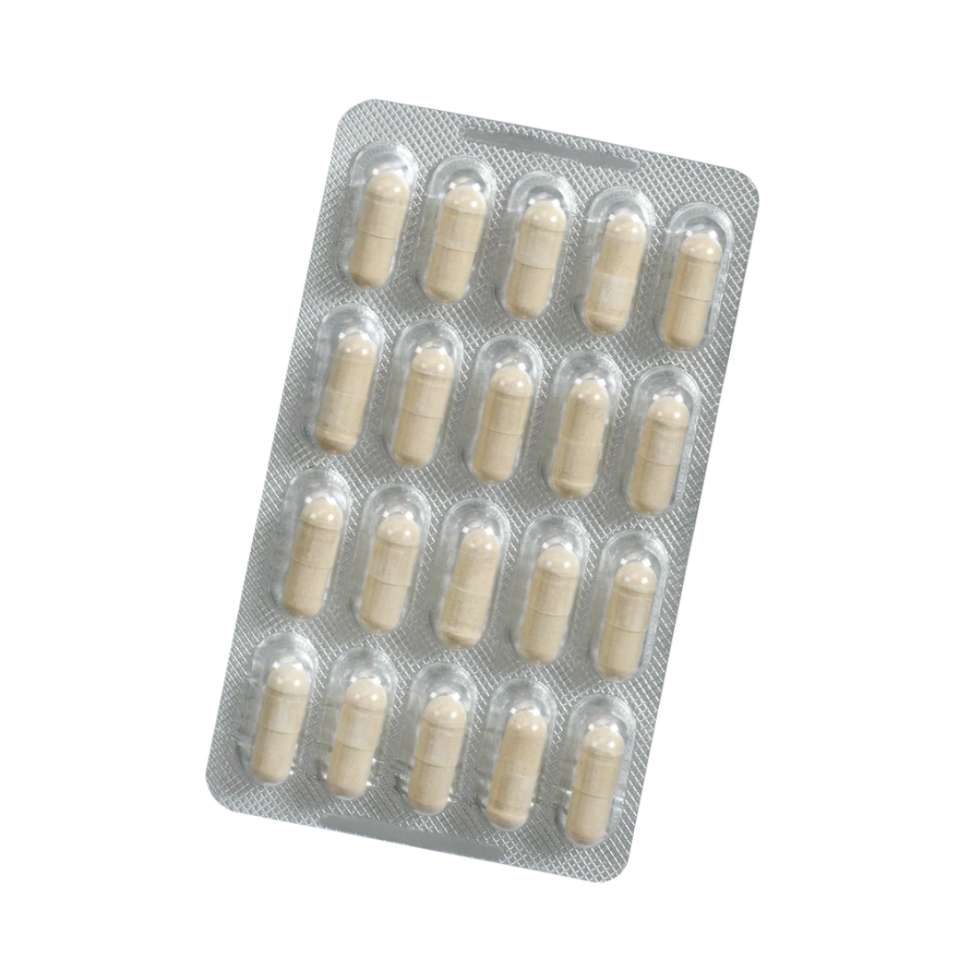 Blisterpackung der Salus Neuro Memorise Bacopa monnieri Kapseln 60 Stück