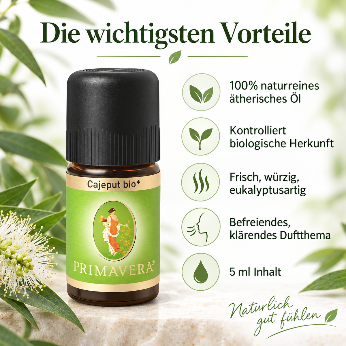 PRIMAVERA Cajeput bio ätherisches Öl mit Vorteilen zu Bio-Qualität, Duftprofil und 5 ml Inhalt