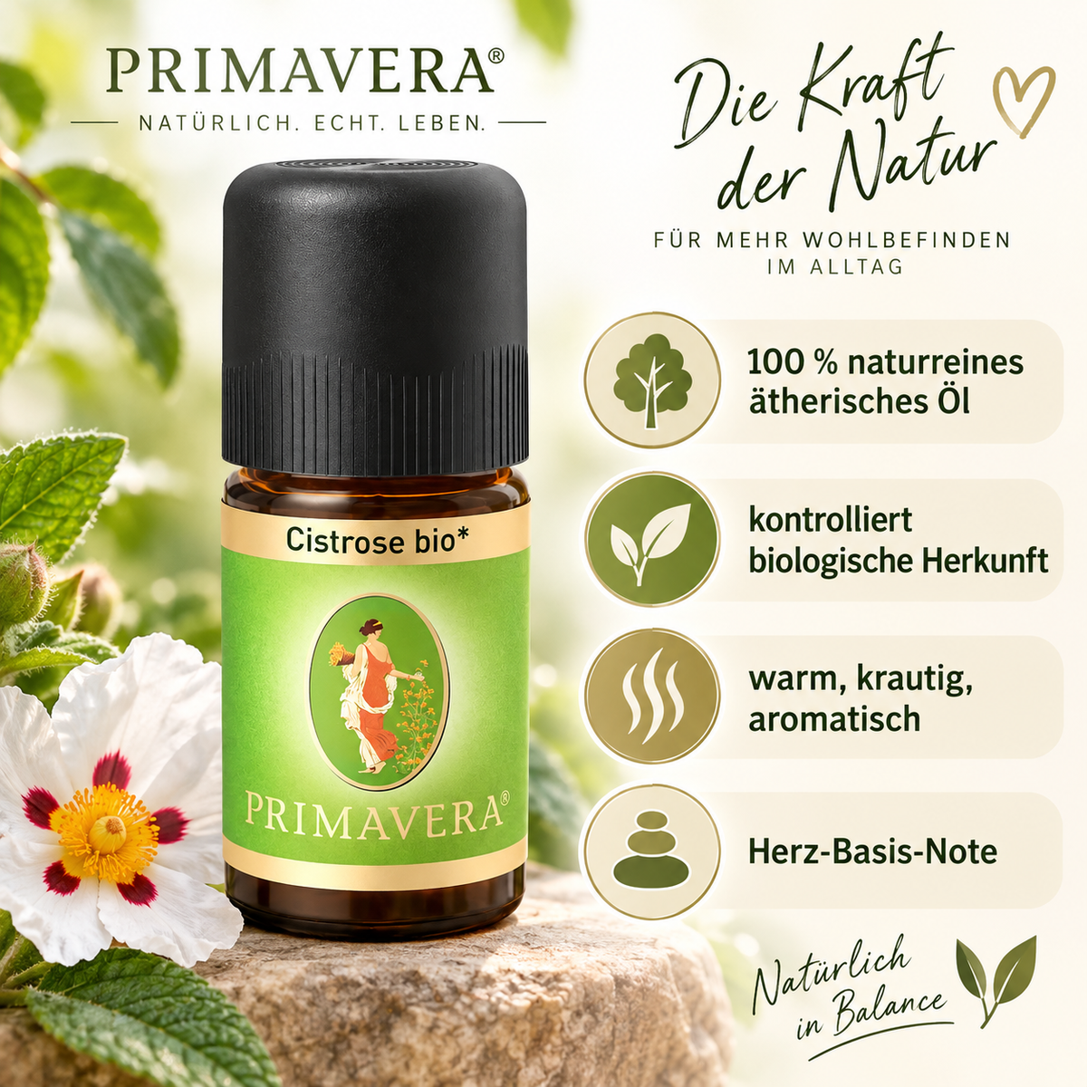 PRIMAVERA Cistrose bio ätherisches Öl mit Bio-Qualität, warmem krautig-aromatischem Duft und Herz-Basis-Note