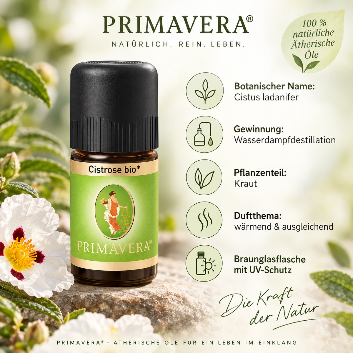 PRIMAVERA Cistrose bio aus Cistus ladanifer mit Informationen zu Wasserdampfdestillation, Kraut und Duftthema