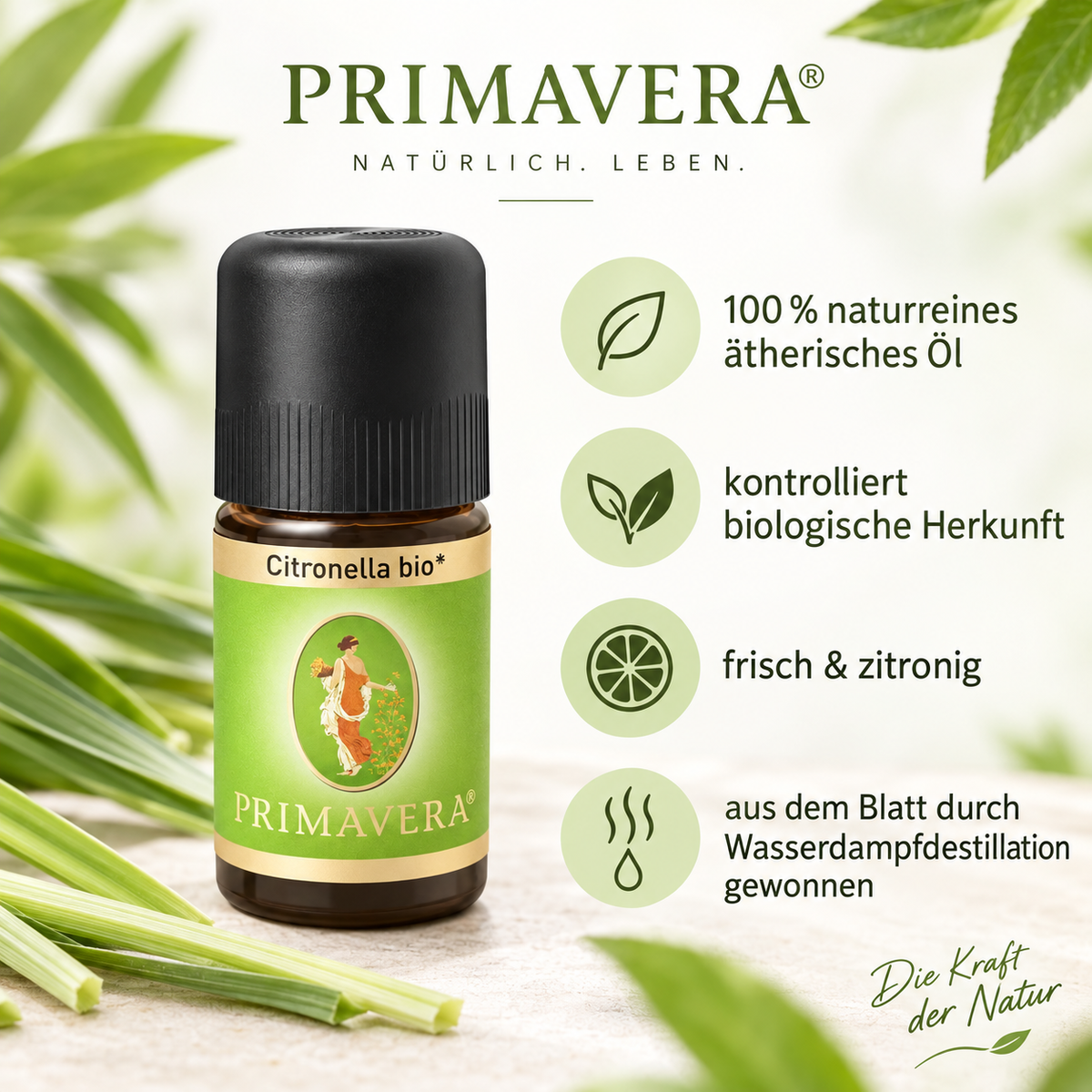PRIMAVERA Citronella bio ätherisches Öl mit frisch-zitronigem Duft und biologischer Herkunft