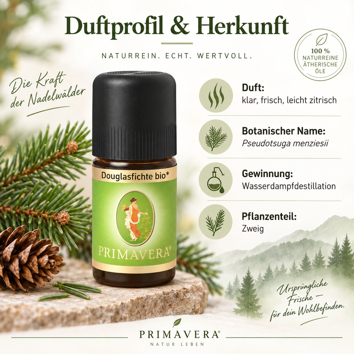 Duftprofil und Herkunft des PRIMAVERA Douglasfichte bio ätherischen Öls mit Douglasfichtenzweigen