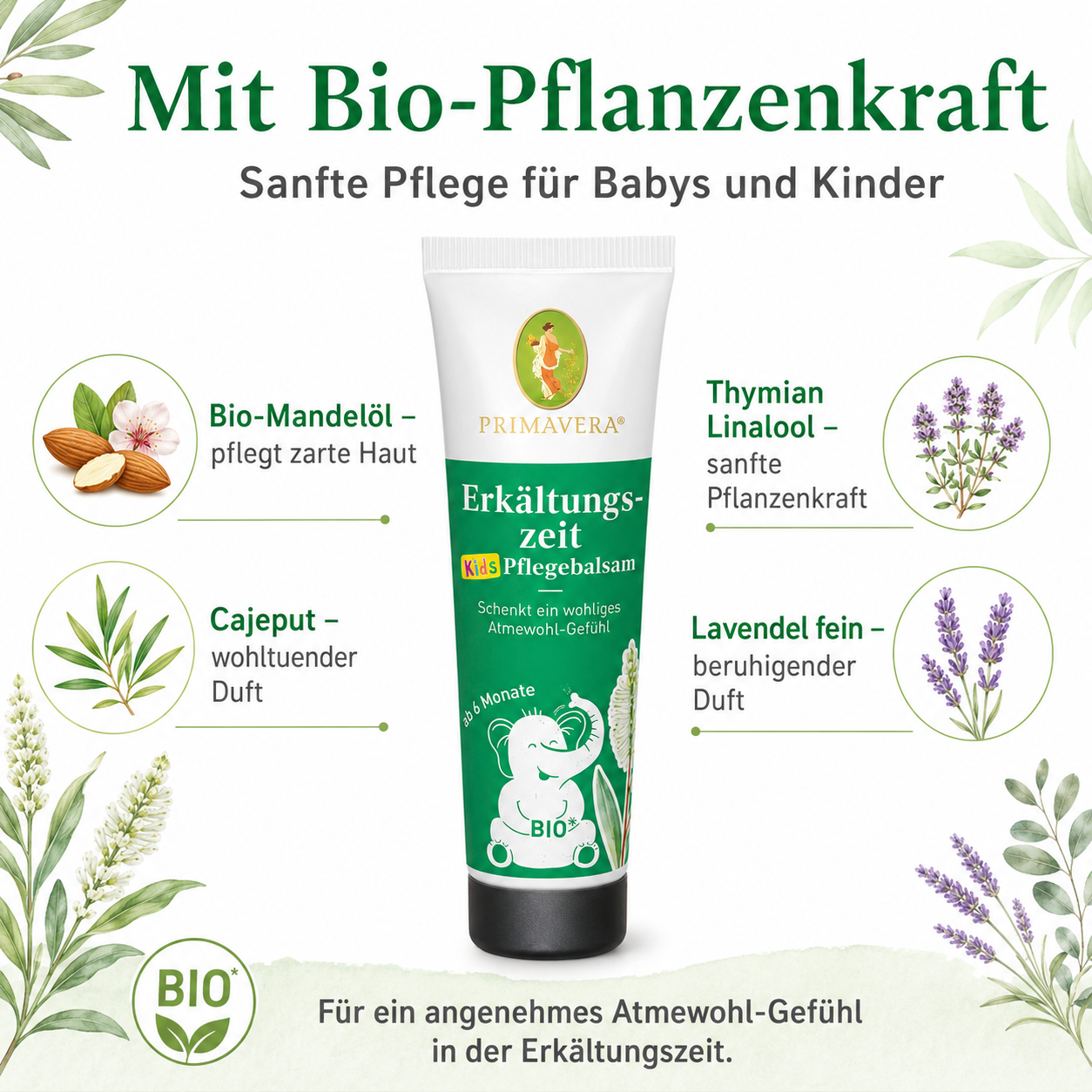 PRIMAVERA Erkältungszeit Pflegebalsam mit Bio-Mandelöl, Cajeput, Thymian Linalool und Lavendel fein