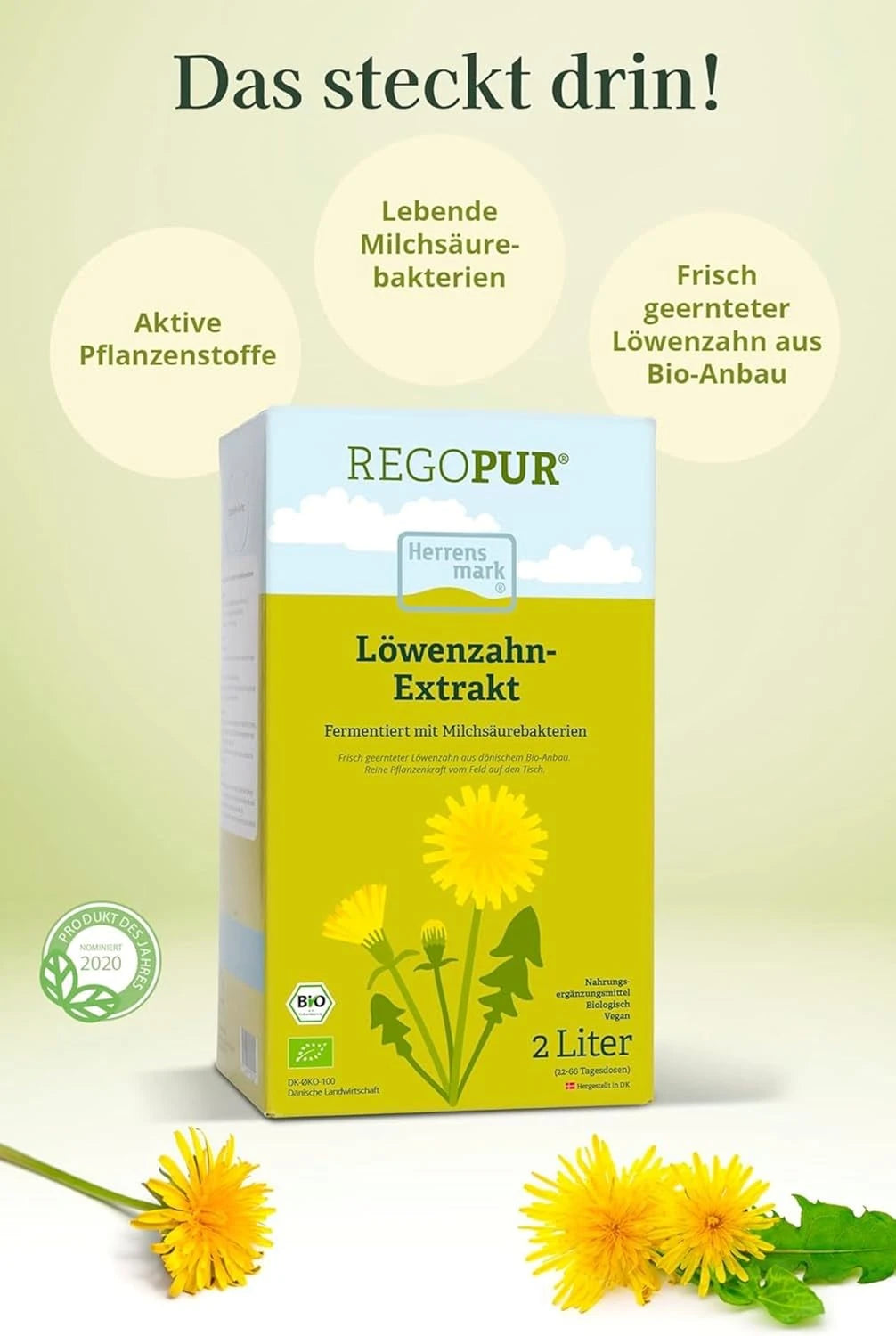 Löwenzahnextrakt 2 Liter in Bag-in-Box – 66 Tagesdosen Bio-Löwenzahn
