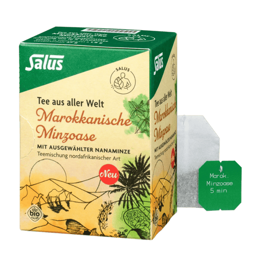 Salus Marokkanische Minzoase Bio Minztee Packung mit Teebeutel